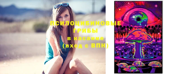 амф Медногорск
