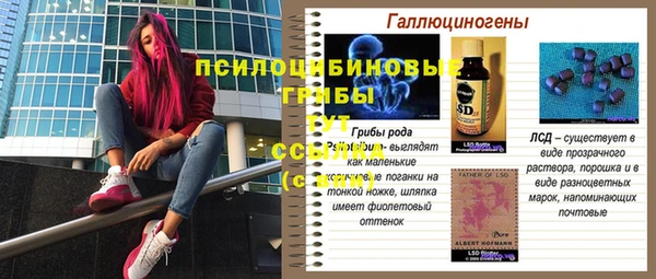 мет Абаза