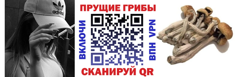 Псилоцибиновые грибы мицелий  что такое наркотик  Батайск 